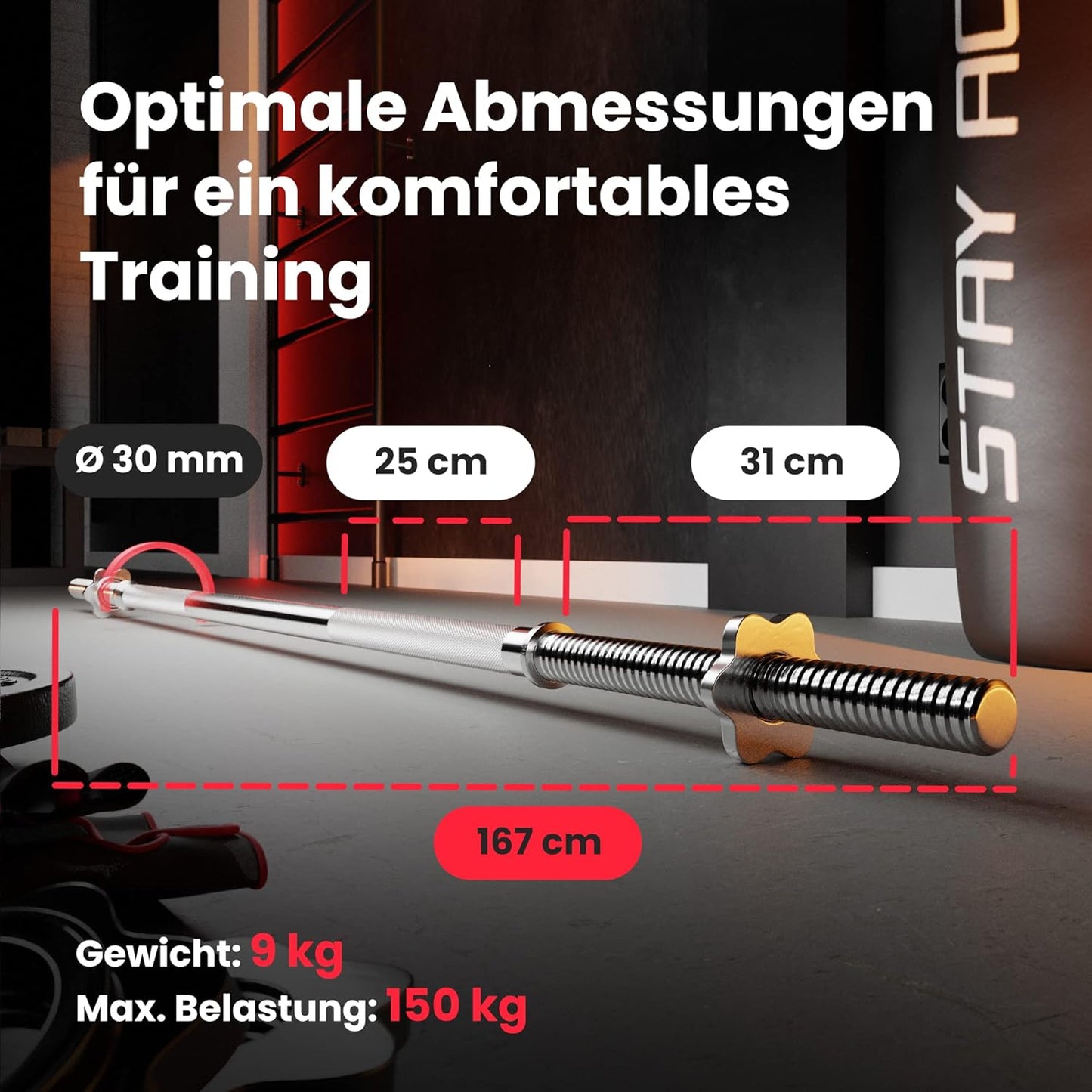 Klappbare Hantelbank mit Gewichten, Curlpult, Butterfly und Beincurler ✨