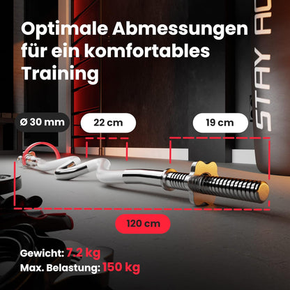 Klappbare Hantelbank mit Gewichten, Curlpult, Butterfly und Beincurler ✨
